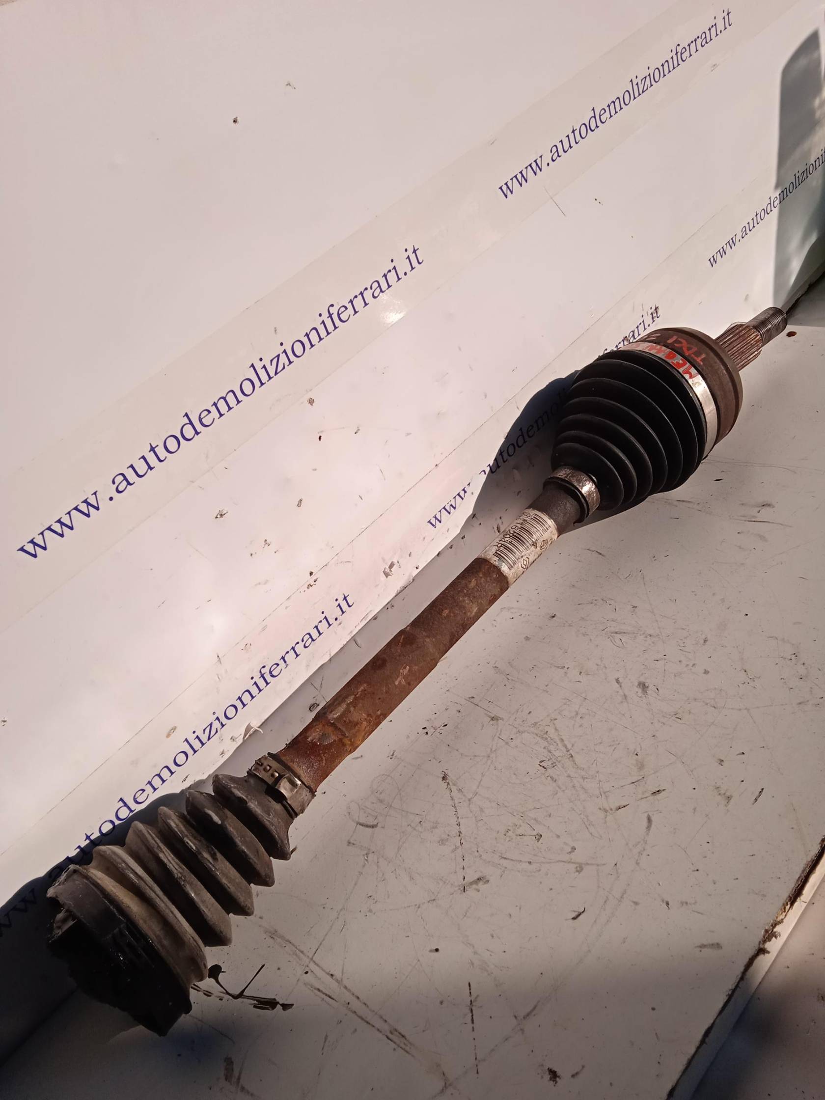 Semialbero ant. compl. sx.